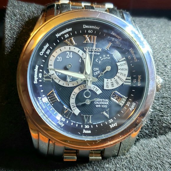 Wrist Watch Review Part Citizen EcoDrive Perpetual Calendar WR 100